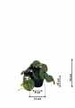 GD3452_PILEA_S_WYMIARY.jpg