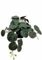 GD3455_PILEA_M_B.jpg