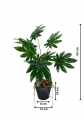 GD3462_ARALIA_M_WYMIARY.jpg