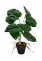 GD3463A_MARANTA_M_2.jpg