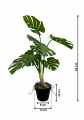 GD3490_MONSTERA_WYMIARY.jpg