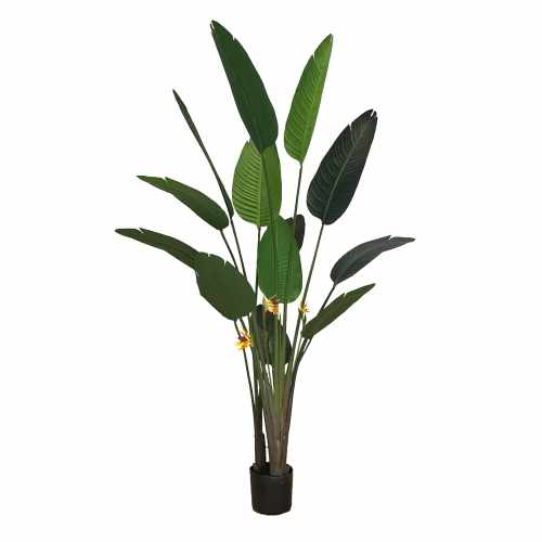 GD4094_STRELICJA_220cm_z_kwiatami.jpg