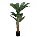 GD4125 BANANOWIEC 180 CM.jpg