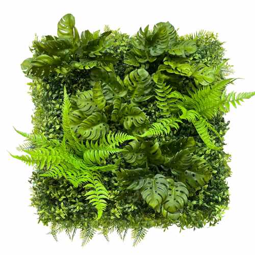 GD633_MONSTERA_50x50cm_nowa.jpg