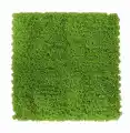 GD285_RUNOWIEC UV.jpg