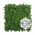 GD298_SKRZYDLIK FR UV B ANG.jpg