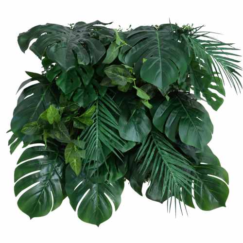 GD647_EMERALD_JUNGLE.jpg