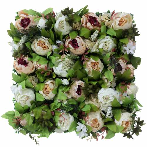GD807_PEONY_BLOOM.jpg