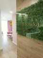 BUXUS_GD236_7.jpg