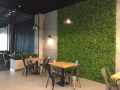 BUXUS_GD236_1.JPG