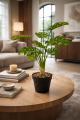 Wizualizacja_Monstera_53.png