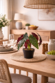 Wizualizacja Begonia Rosie 35 2.png