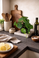 Wizualizacja Pilea 20 2.png
