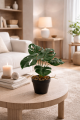 Wizualizacja_Monstera_39_2.png