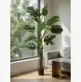 MONSTERA_WIZUALIZACJA2