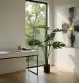 WIZUALIZACJA_MONSTERA