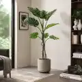 GD4154_MONSTERA_180cm_WIZUALIZACJA