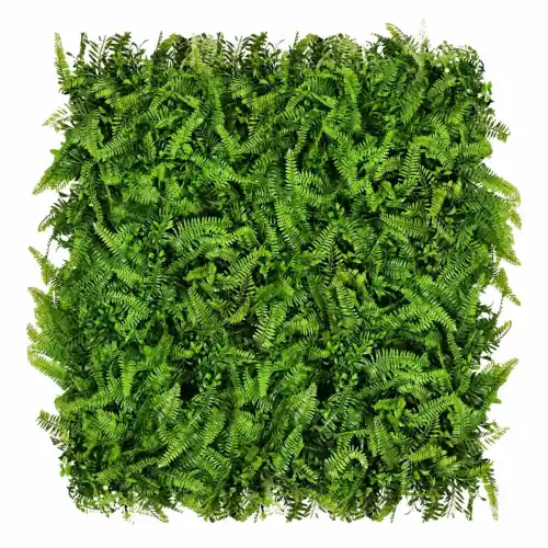  Green Wall Paprotnik 50x50cm