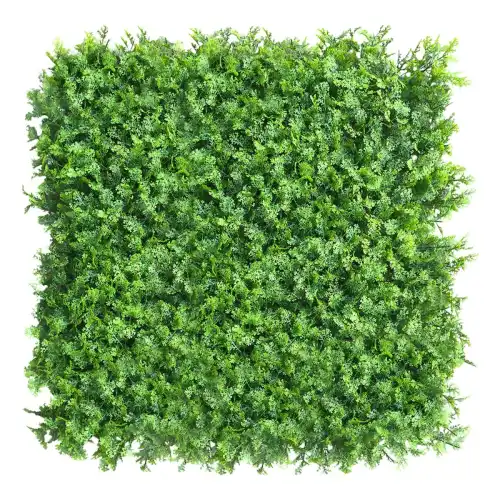 Green Wall Tuja 50x50cm