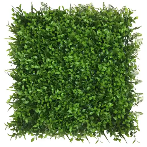Green Wall Wiązowiec 50x50cm