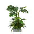 GD732_WILD_PARADISE.jpg