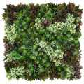 GD102_TUNDRA_100X100.jpg