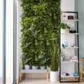 GD 120 wizualizacjaTropical Freshness sklep Green Designers.JPG