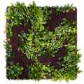 GD 123 Purple Haze sklep Green Designers.JPG