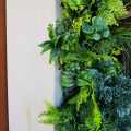 GD 173_GREEN DESIGNER_SKLEP_Panel ścinny_ESSENCE_realizacja.jpg