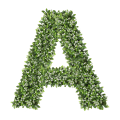 Ozdobna Litera A - sklep Green Designers.png
