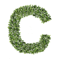 Ozdobna Litera C - sklep Green Designers.png