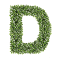 Ozdobna Litera D - sklep Green Designers.png