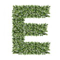 Ozdobna Litera E - sklep Green Designers.png