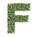 Ozdobna Litera F - sklep Green Designers.png