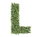 Ozdobna Litera L - sklep Green Designers.png