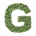 Ozdobna Litera G - sklep Green Designers.png
