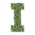 Ozdobna Litera I - sklep Green Designers.png