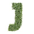 Ozdobna Litera J - sklep Green Designers.png