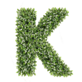 Ozdobna Litera K - sklep Green Designers.png