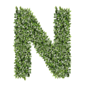 Ozdobna Litera N - sklep Green Designers.png