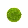 DG 5162_GREEN DESIGNERS_SKLEP_Kula z mchu Moss Ball 35 cm.jpg