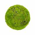 DG 5163_GREEN DESIGNERS_SKLEP_Kula z mchu Moss Ball 45 cm.jpg