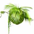 DG 5165_GREEN DESIGNERS_SKLEP_Dekoracyjna kula ze sztuczną zielenią Moss Ball 35 cm.jpg
