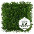 GD283_BUXUS_UV_1_NA_1_STEMPEL.jpg