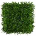 GD283_BUXUS_UV_1_NA_1.jpg