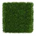 GD283_BUXUS_UV_2_NA_2.jpg