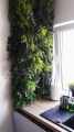 Hanging Gardens GD150.jpg