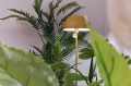 DSCF3298_HDR.jpg