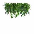 GD566_GREEN DESIGNERS_SKLEP_Sufit podwieszany Ivy Rain 100cm.jpg