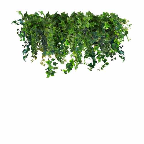 Floating Garden Ivy Rain 100cm